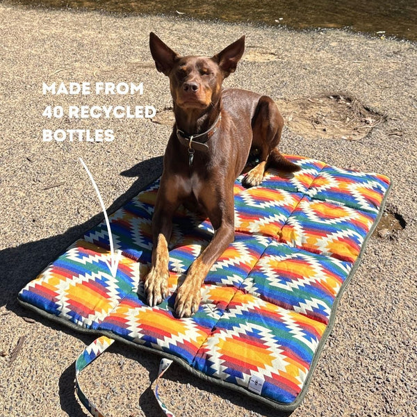 Wet Dog and Co Travel Dog Mat in Wanderlust print, dual-sided water-resistant mat made from recycled plastic bottles