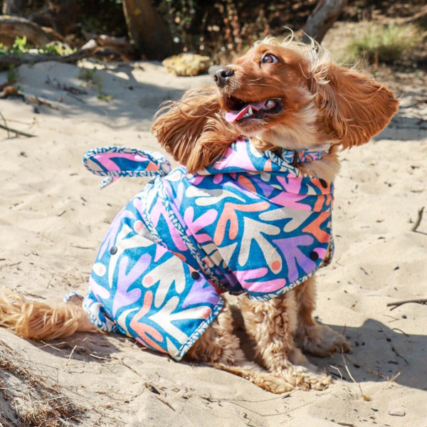 SeaGal Print Hooded Towel Bundle For You and Your Dog