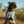 Quick-dry Seagal print dog hooded towel