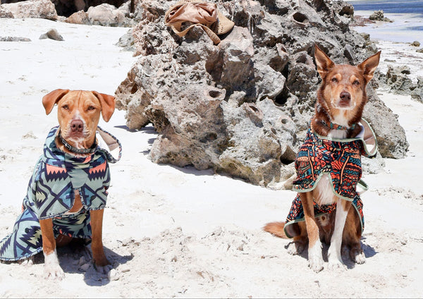 Best Hooded towel for dogs, Dog Robe, Dog Beach Towel, Recycled for dogs. 