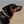 Waterproof Dog Collar - Otway