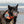 Dog Bandana/ Nomad