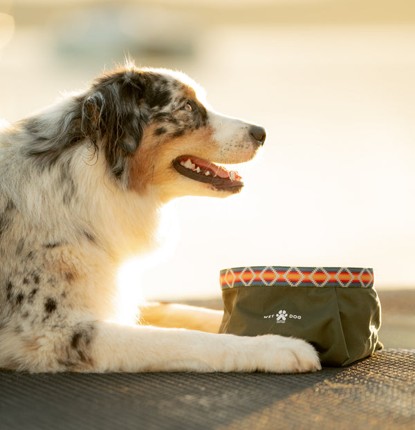 Packable dog bowl, travel dog bowl, lightweight dog bowl. Recycled. Designed in Australia. Perfect for traveling and hiking with dogs