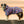 Dog Hooded Towel - SEAGAL