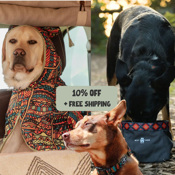 Forrest Explorer Pack