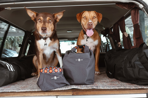 Packable Dog Bowl