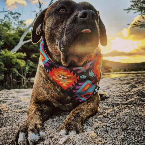 Recycled, cooling fun and colourful dog bandana. 