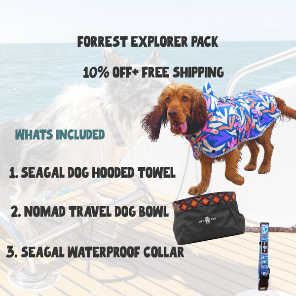 Seagal Explorer Pack