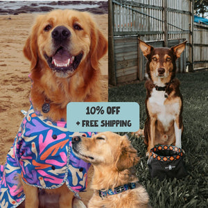 Seagal Explorer Pack