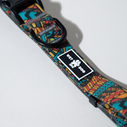 Waterproof and durable dog collar. Stainless steel D ring, recycled webbing. Designed in Australia . Wet Dog and Co.