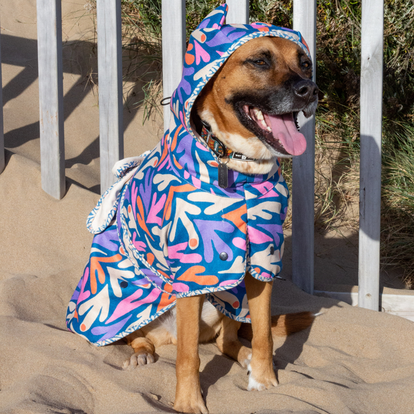 Recycled Hooded Poncho Towel for dogs