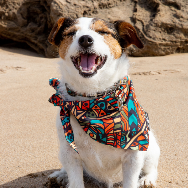 DOG BANDANA/ FORREST